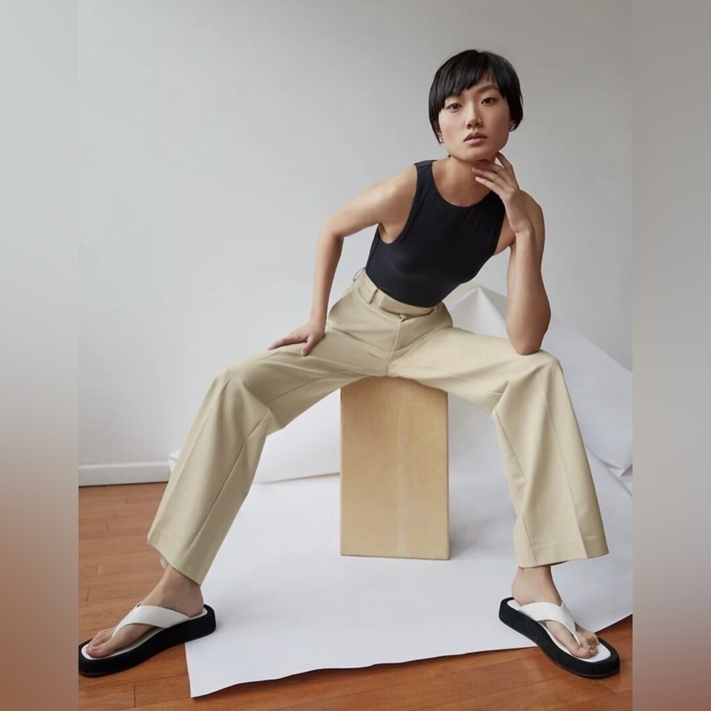 Aritzia Babaton Agency Pant